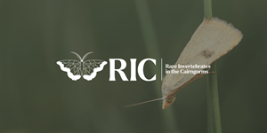 Design de Logo par John316 pour ce projet | Design : #36813507