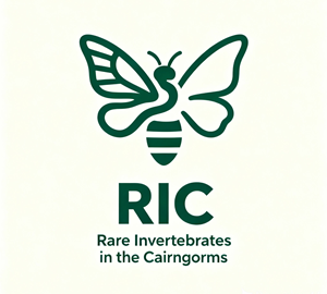 Design de Logo par Minang Art_Studio pour ce projet | Design : #36816603