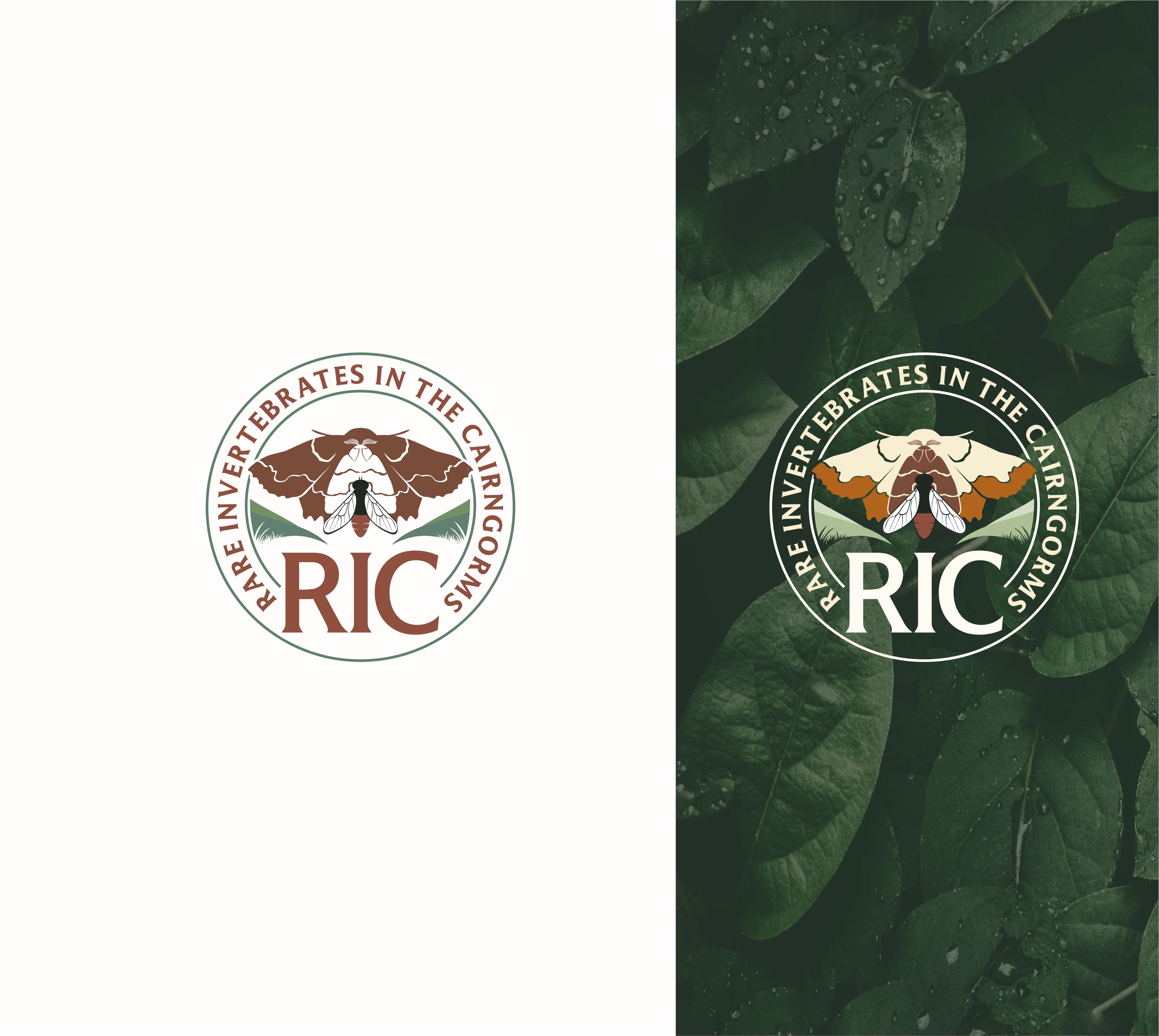 Logo-Design von Djamdesign für dieses Projekt | Design #36785856