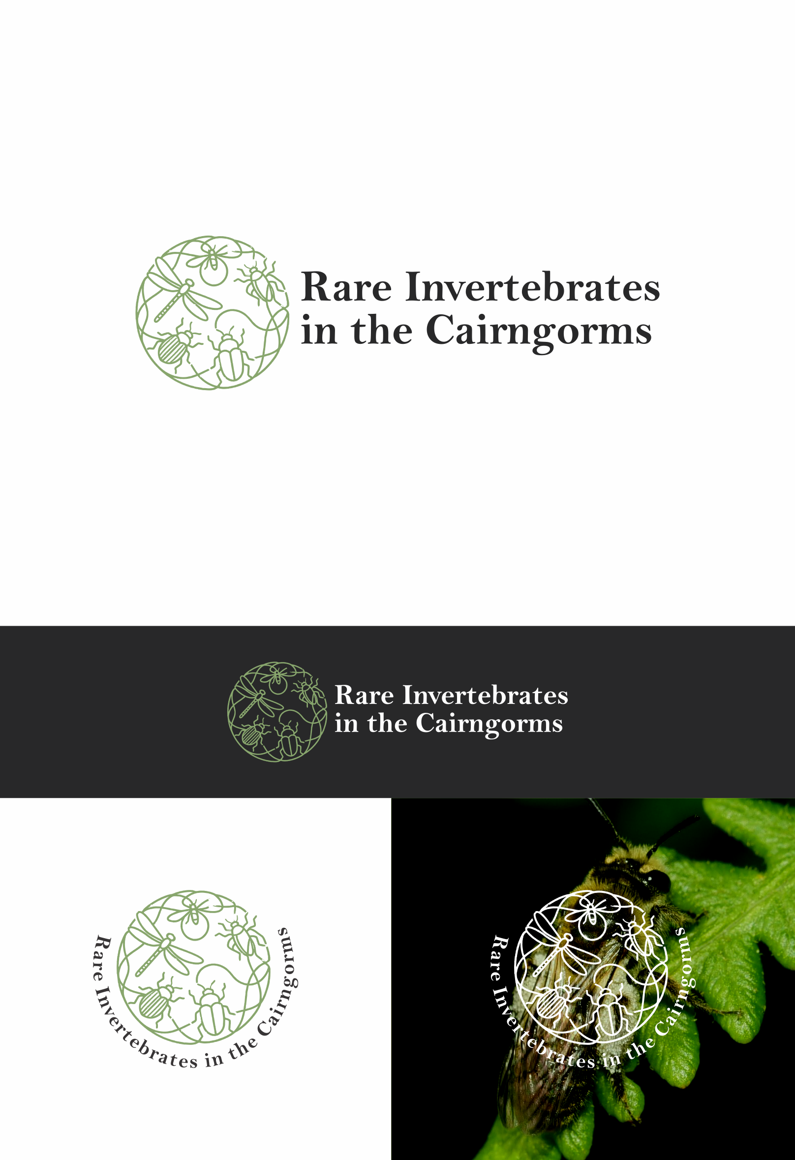 Design de Logo par artes aquino pour ce projet | Design #36789421