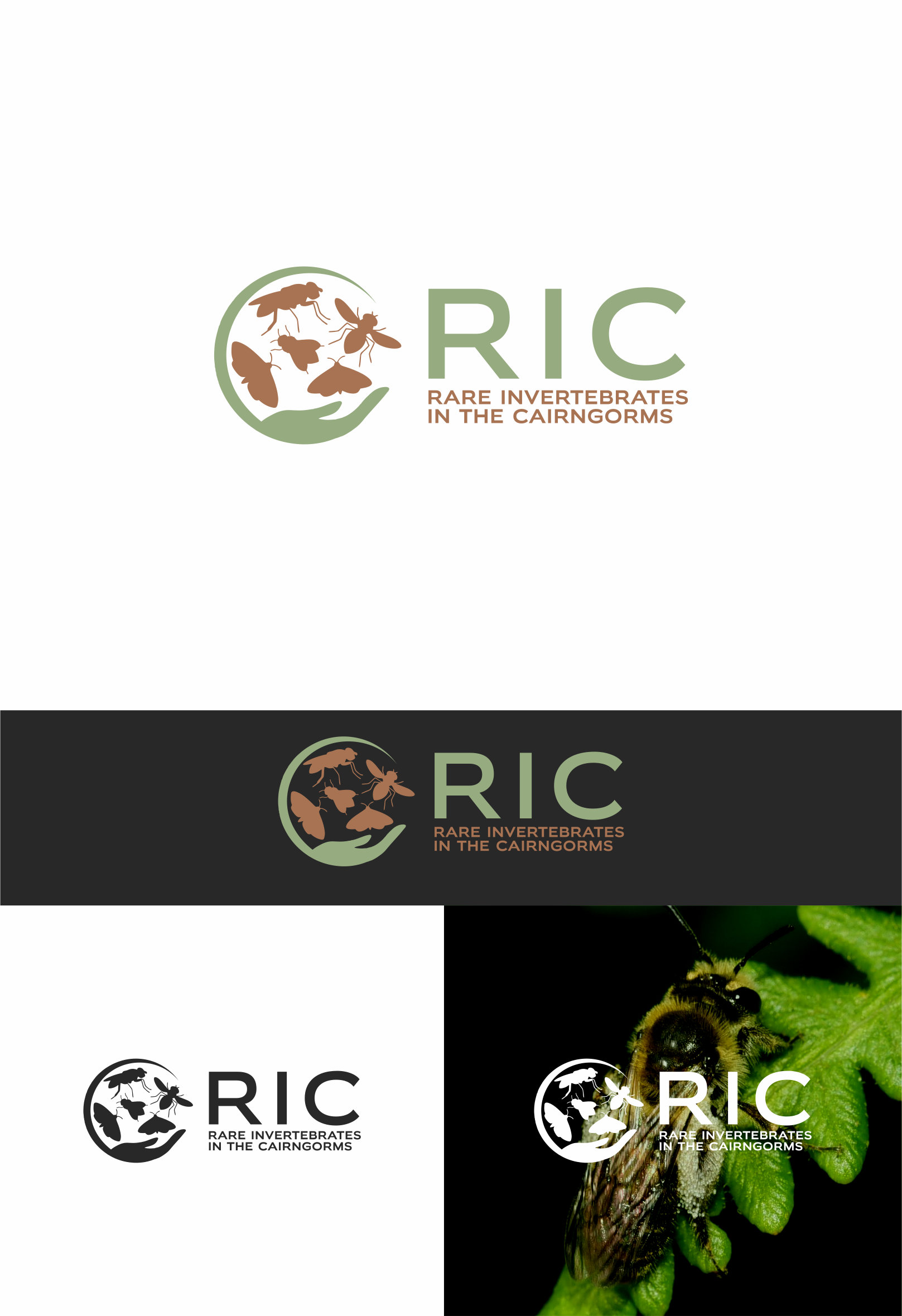 Design de Logo par artes aquino pour ce projet | Design #36789691