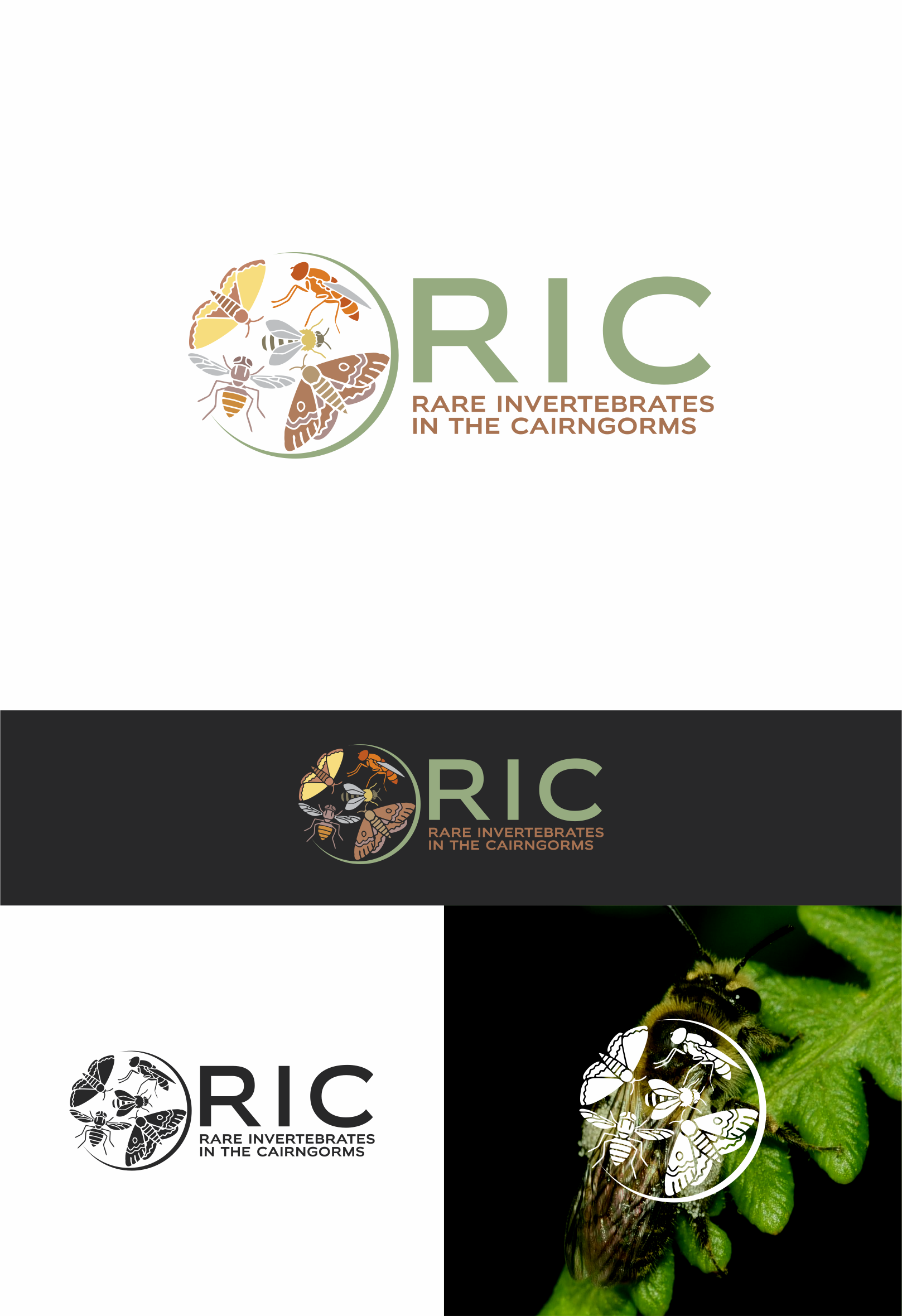 Design de Logo par artes aquino pour ce projet | Design #36789729