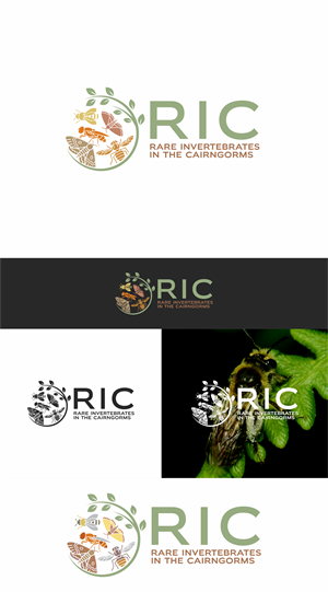 Logo Design by artes aquino for this project | Design: #36789876