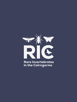 Design de Logo par bright design pour ce projet | Design : #36799854