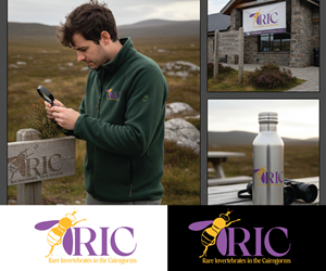 Logo Design by Ansh Design for this project | Design: #36783922