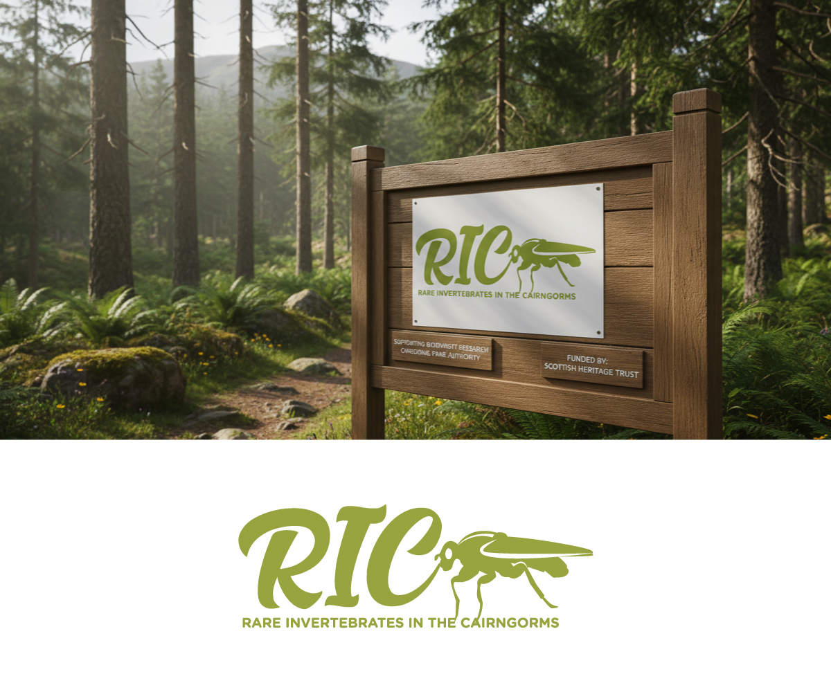 Design de Logo par Ansh Design pour ce projet | Design #36783923