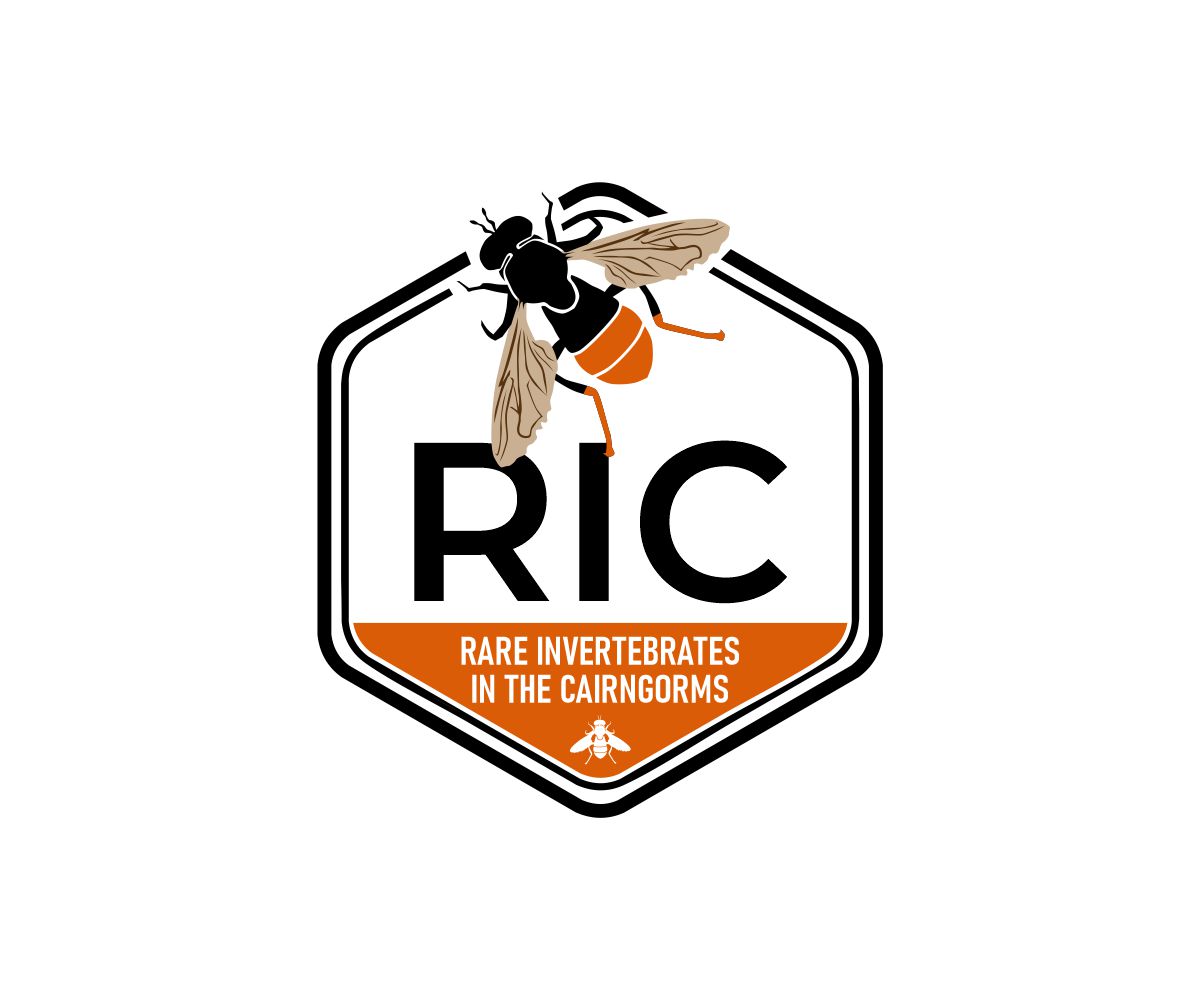 Design de Logo par OrianO-70 pour ce projet | Design #36811040