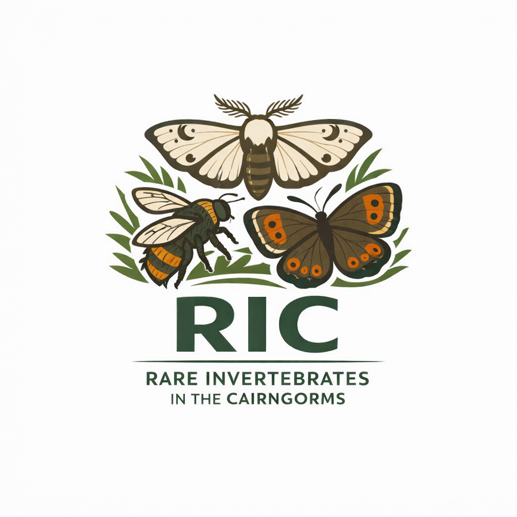 Logo Design by Design92 for this project | Design #36814913