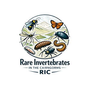 Logo Design by Design92 for this project | Design: #36816609