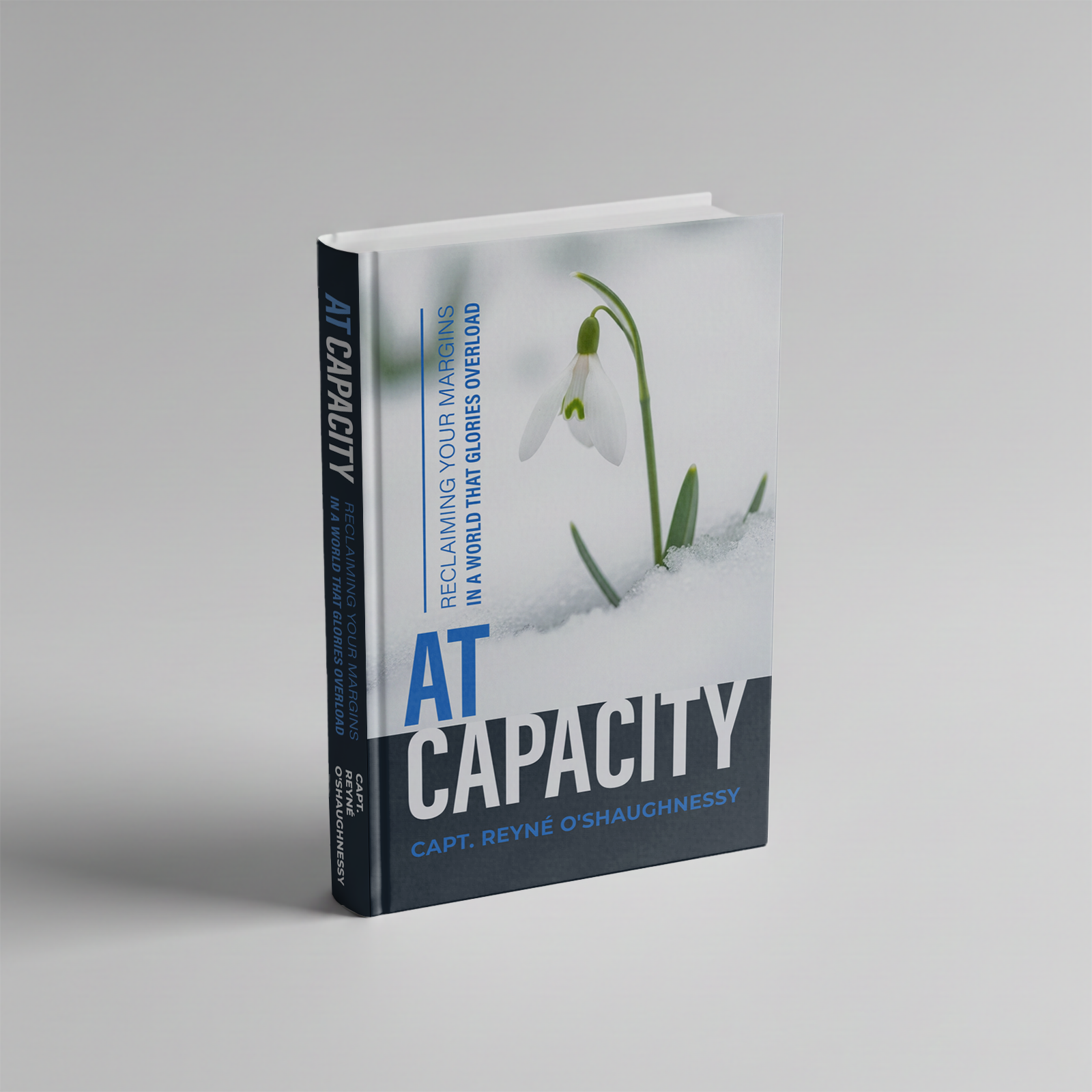 Book Cover Design by moonrock for this project | Design #36805346