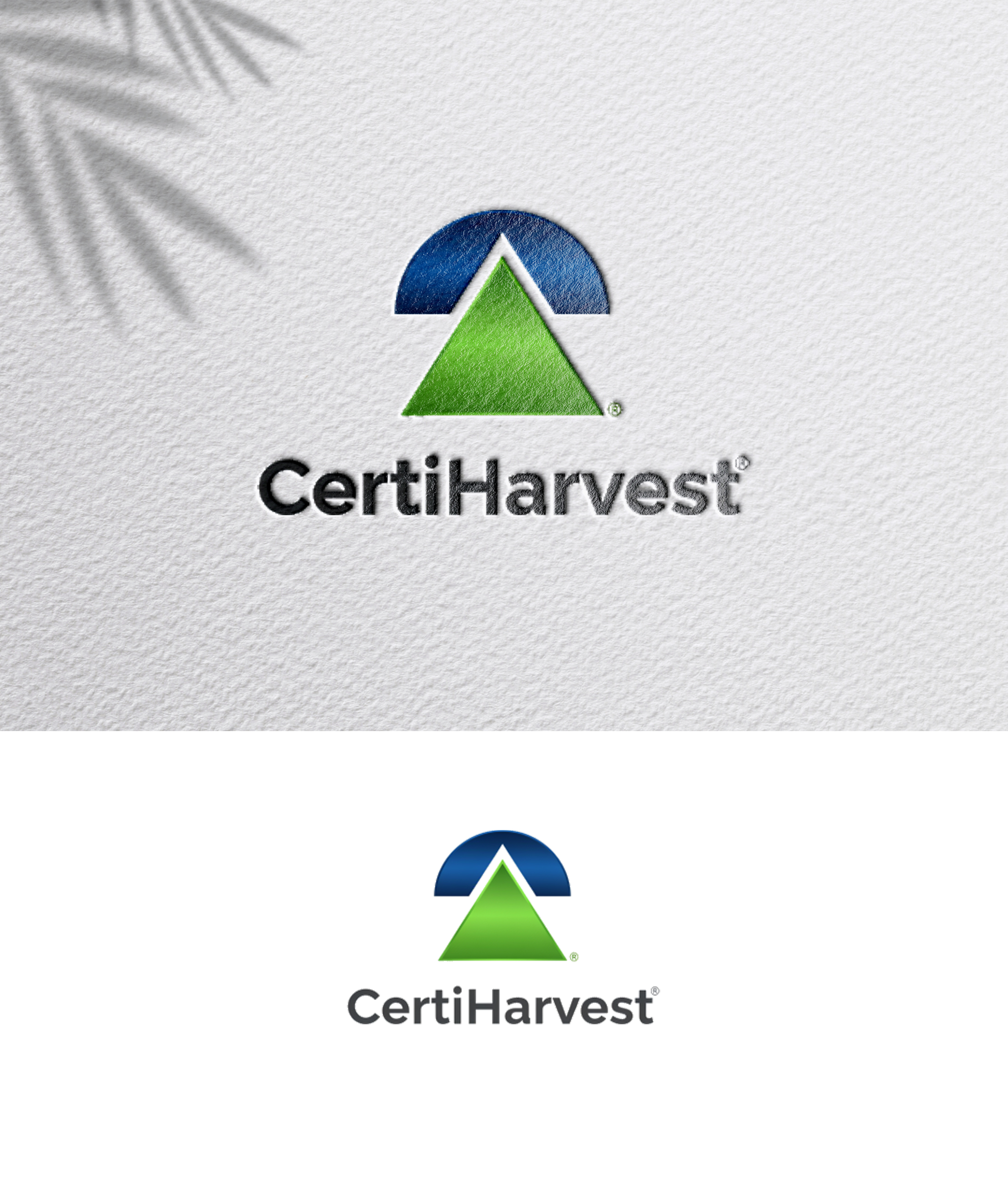 Diseño de Logo por zoyario para este proyecto | Diseño #36790620