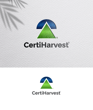 Logo Design by zoyario