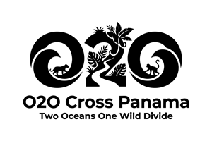 Logo Design by HSL Brain for this project | Design: #36773996