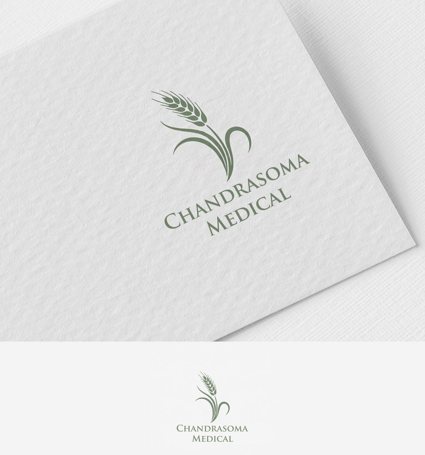 Logo-Design von Mehedi100 für dieses Projekt | Design #36786627