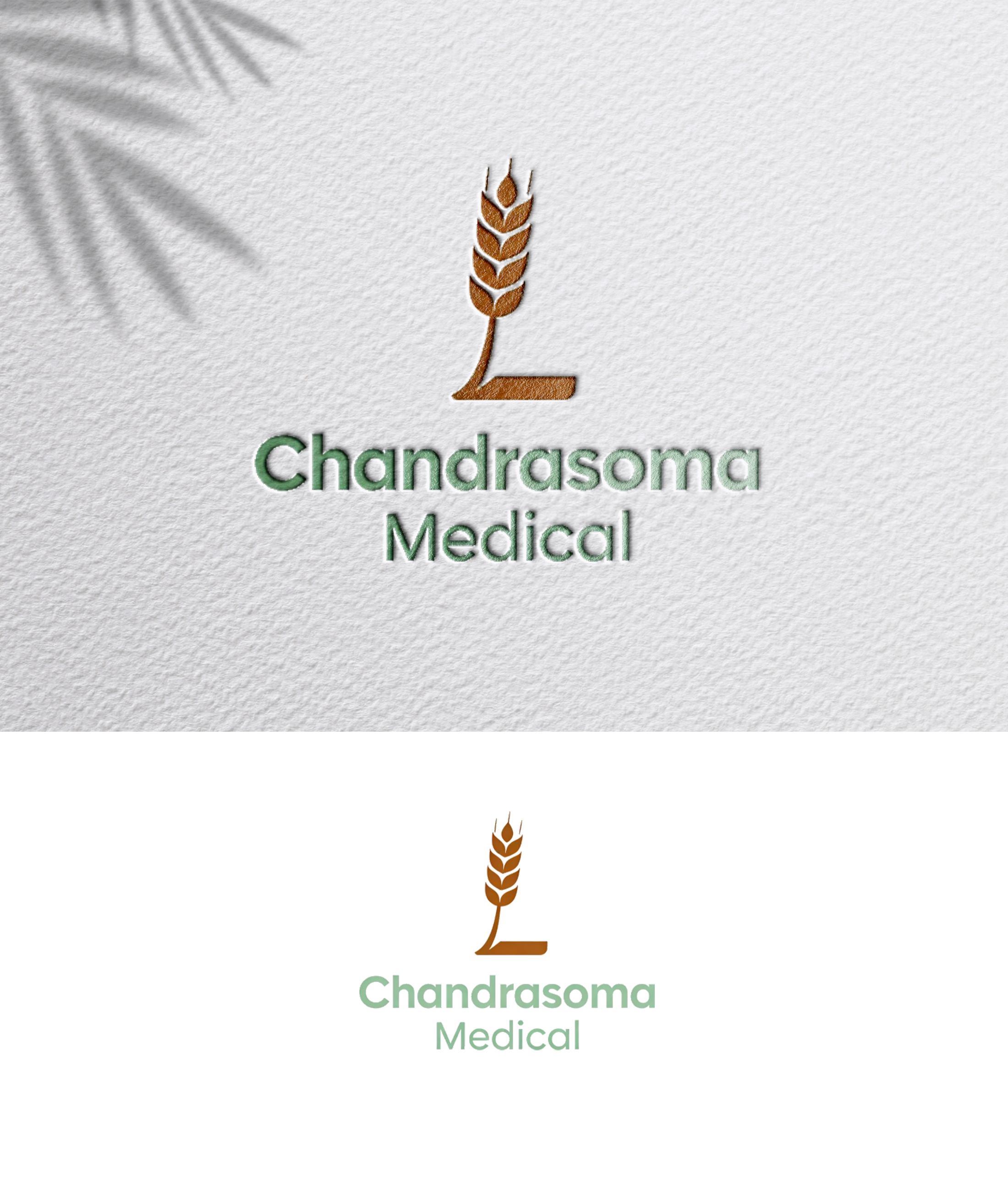 Logo-Design von zoyario für dieses Projekt | Design #36789555