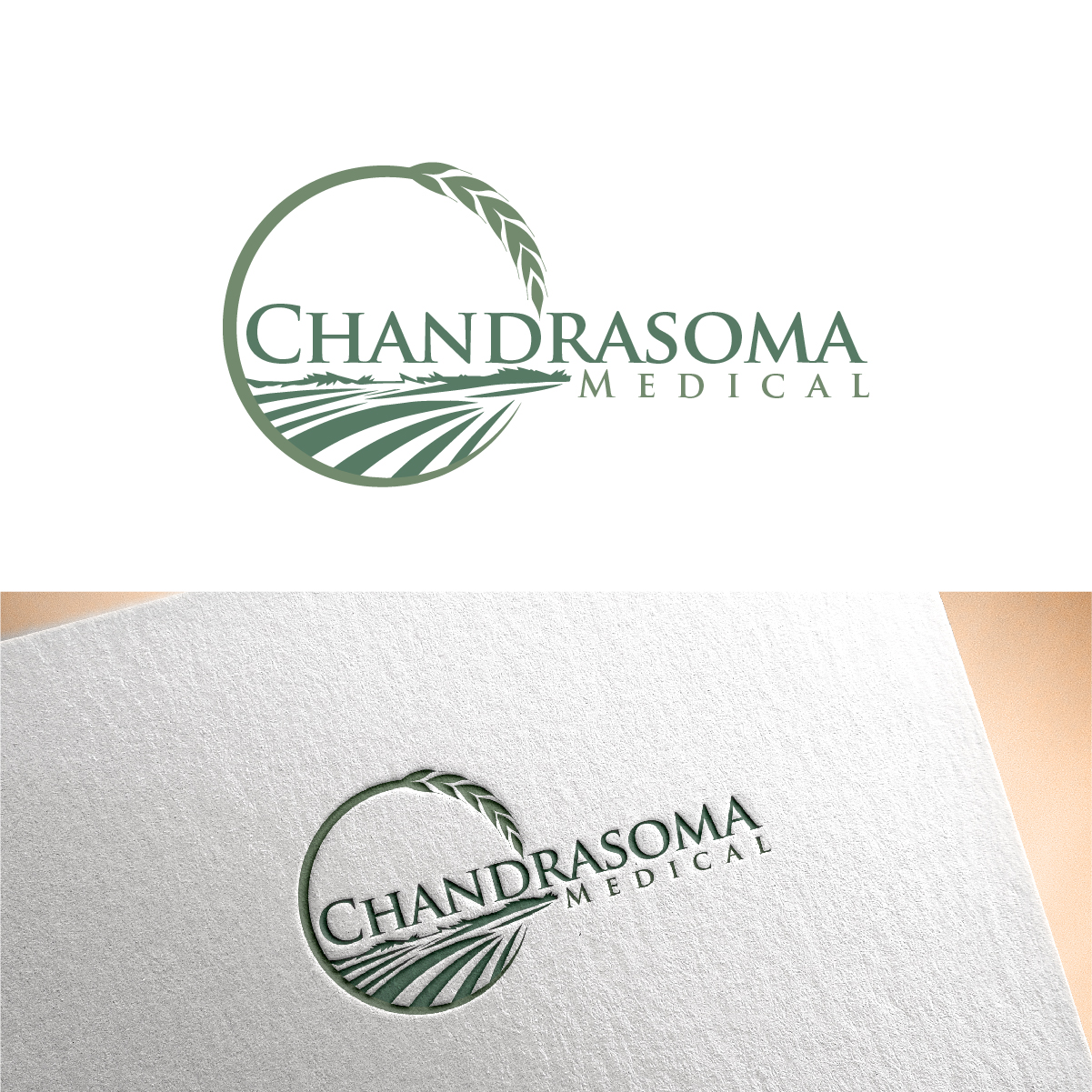 Logo Design by Owltive for this project | Design #36780757