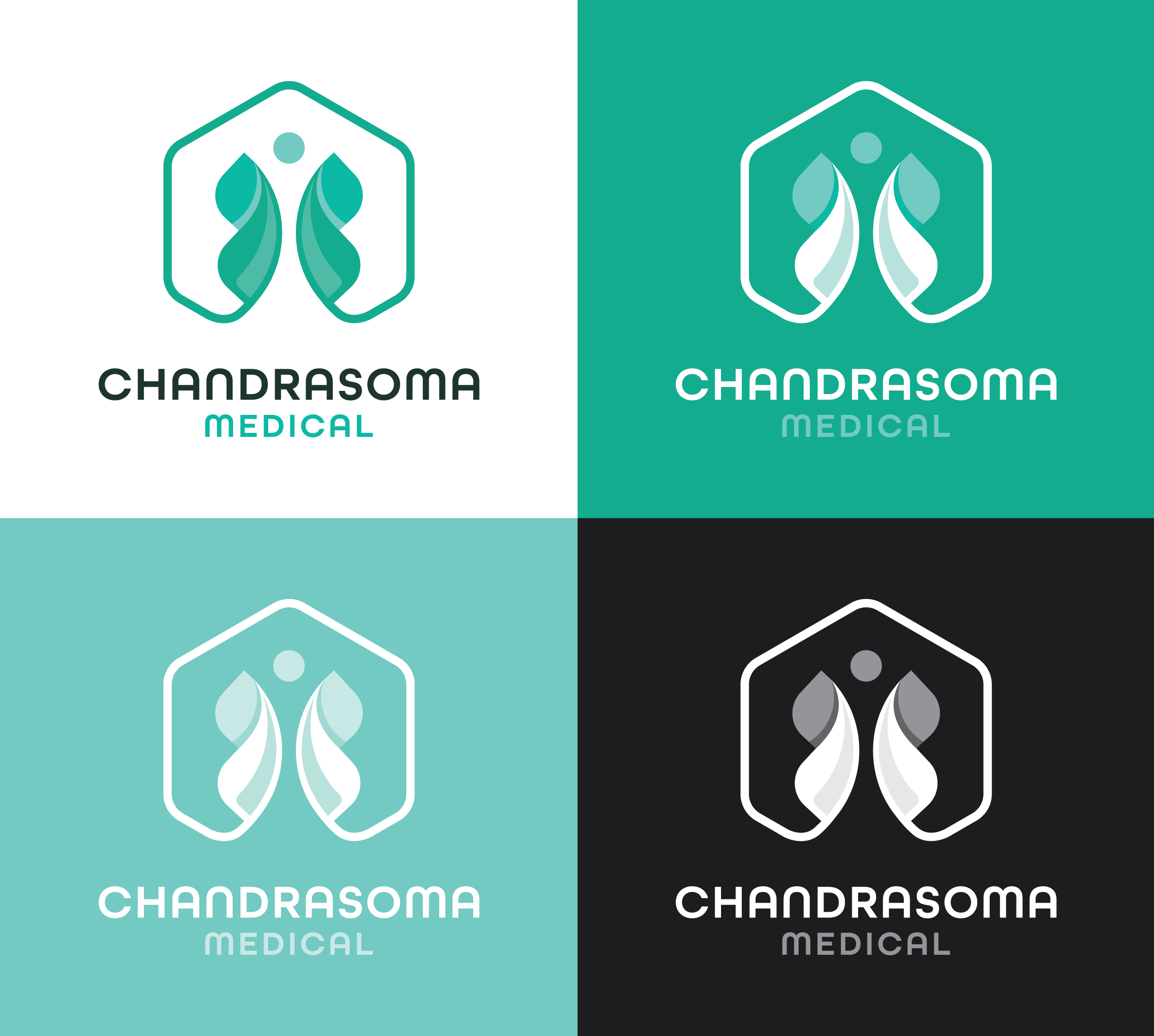 Logo Design by DigitalHareesh (Creative Senior Graphic Designer) for this project | Design #36776726