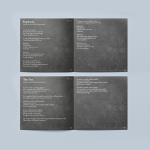 CD Cover Design by Vikum 3 for this project | Design: #36814812