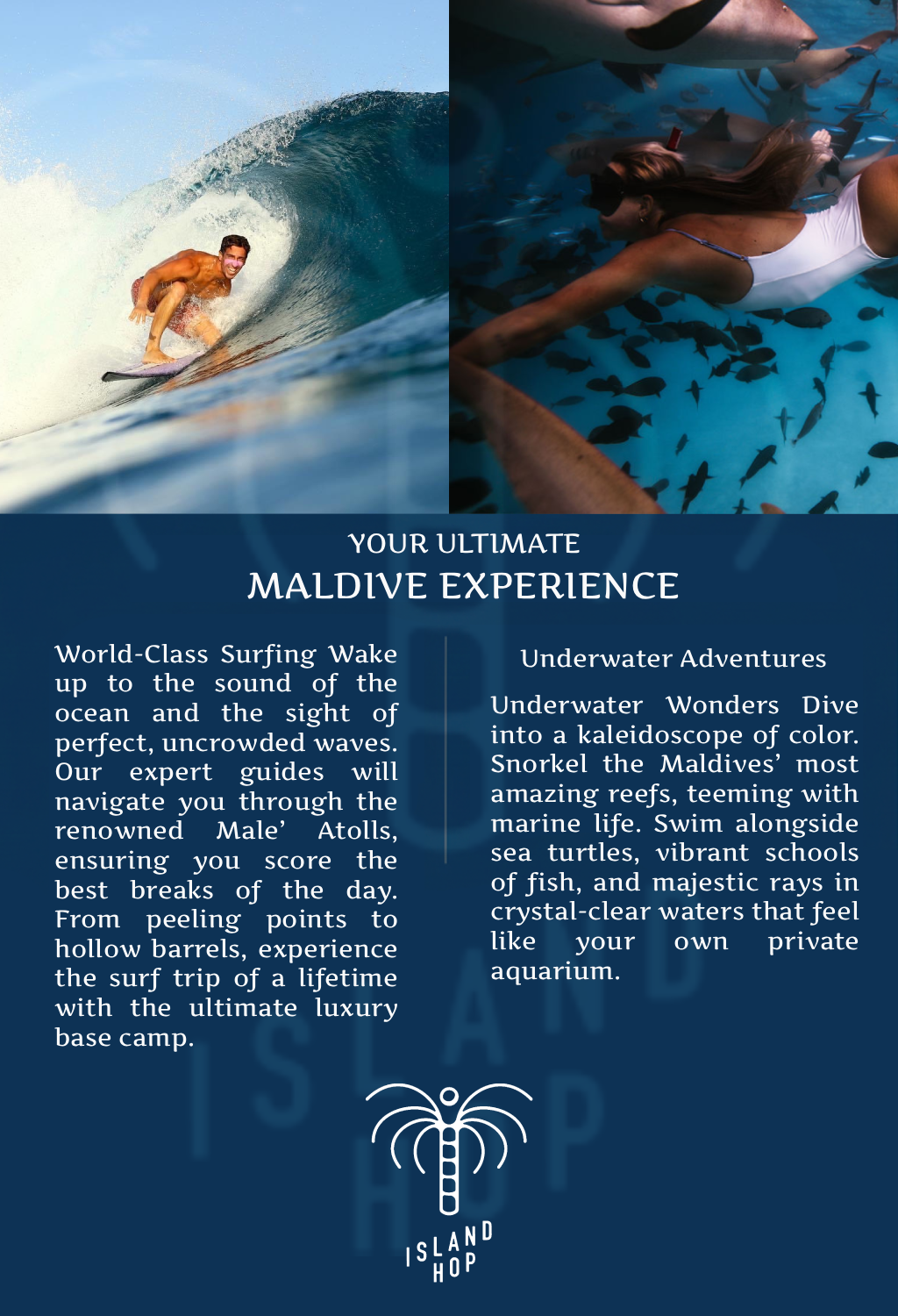 Graphic Design by MCT DESIGNS for this project | Design #36789337