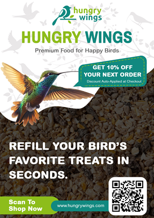 Flyer Design by pb for this project | Design: #36790805