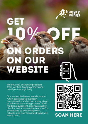 Flyer Design by ISYL for this project | Design: #36808871