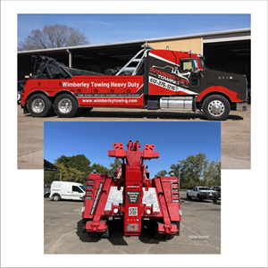 Car Wrap Design by DG+