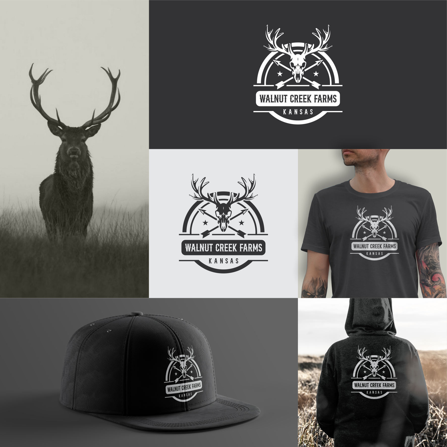 Logo Design by sabina aiko for this project | Design #36811799