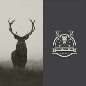 Diseño de Logo por sabina aiko para este proyecto | Diseño: #36812989