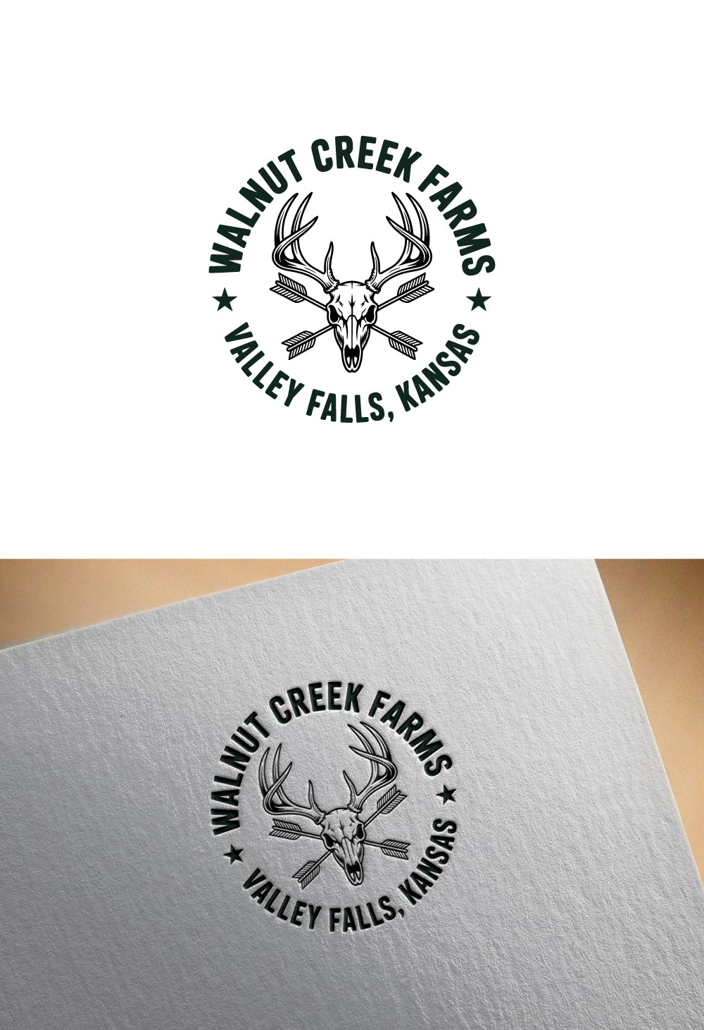 Diseño de Logo por DesignVerse777 para este proyecto | Diseño #36798994