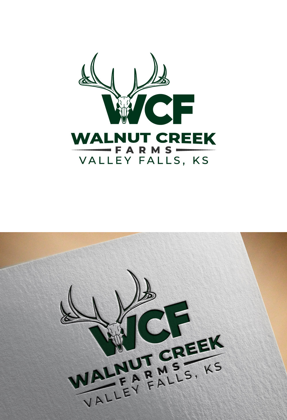 Diseño de Logo por DesignVerse777 para este proyecto | Diseño #36800023