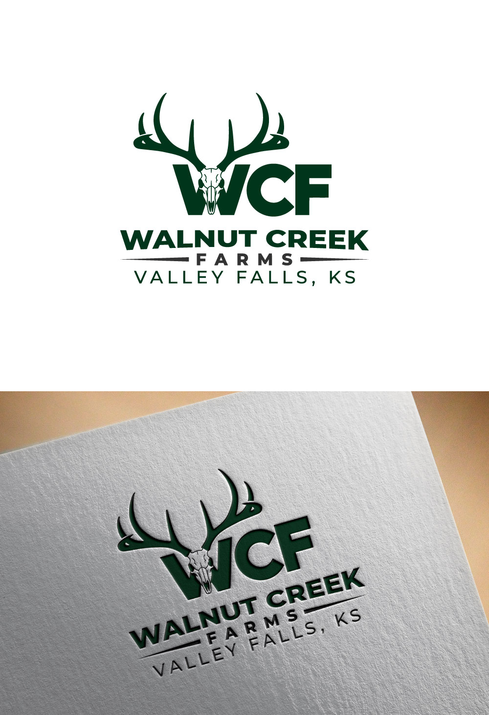 Logo Design by DesignVerse777 for this project | Design #36800024