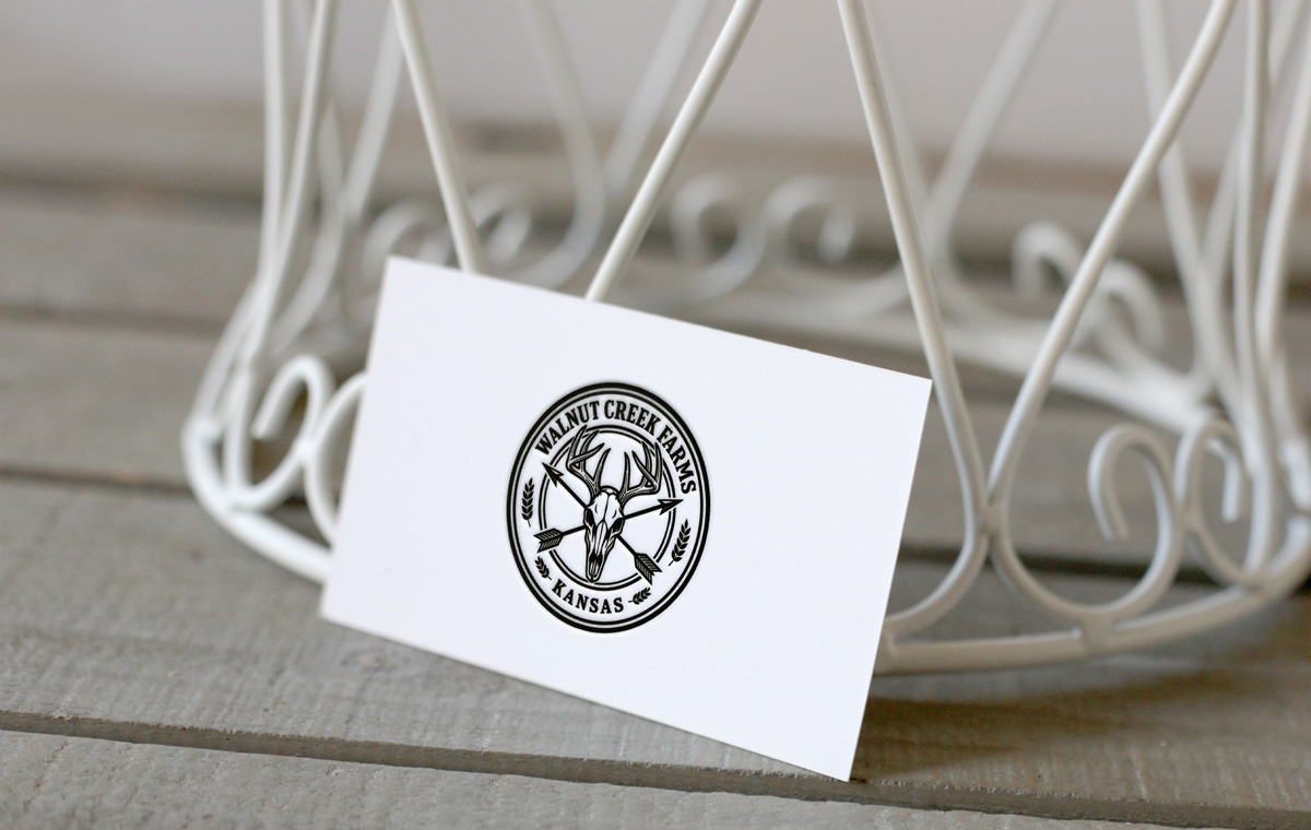 Logo Design by Cool-Designer for this project | Design #36791294