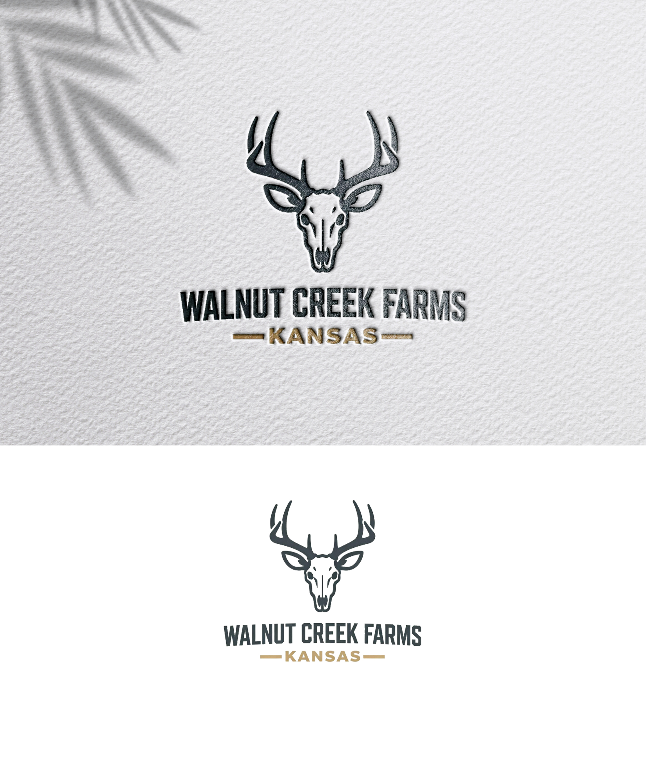 Logo Design by zoyario for this project | Design #36801364