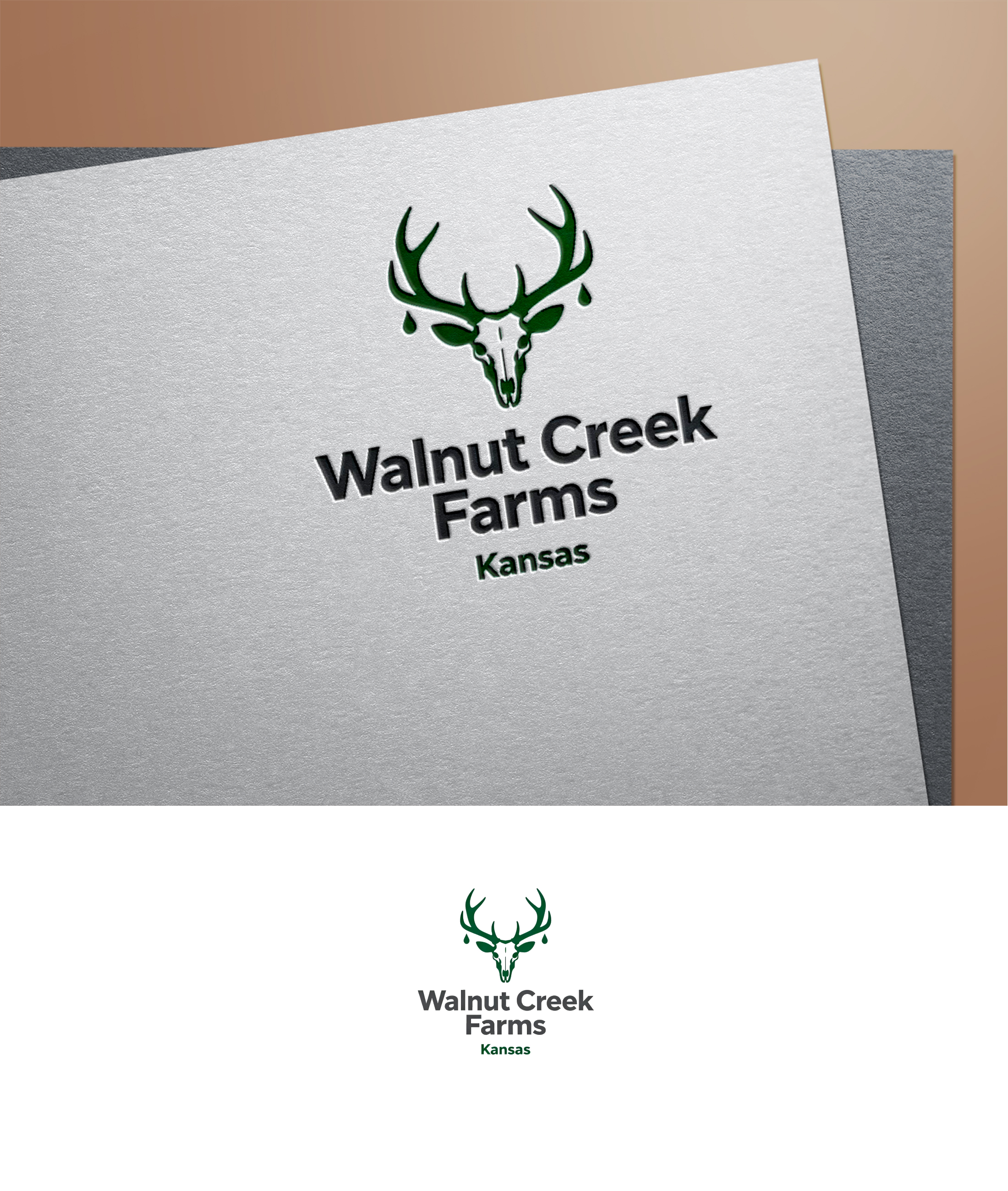 Logo Design by zoyario for this project | Design #36801366