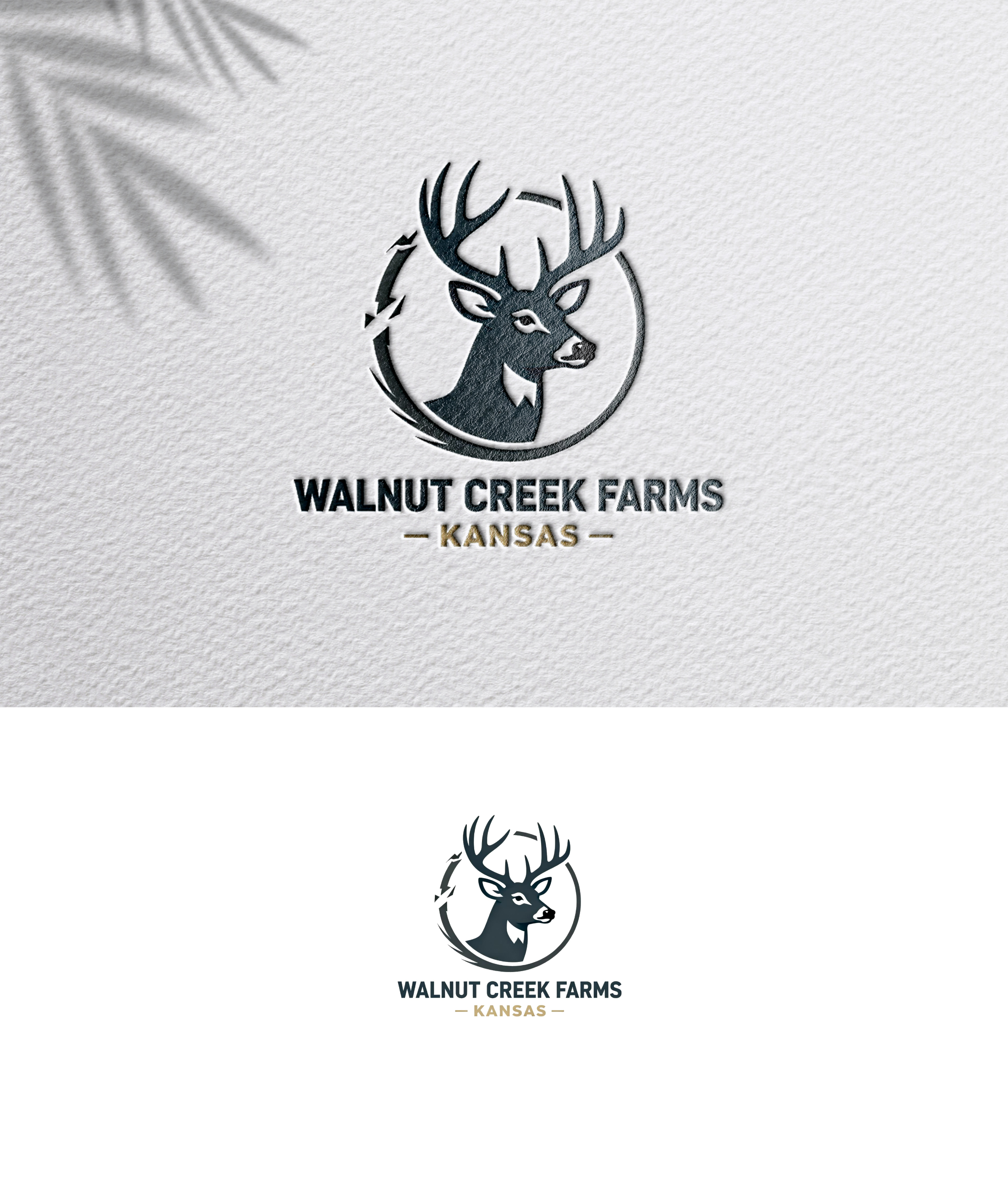 Diseño de Logo por zoyario para este proyecto | Diseño #36801367