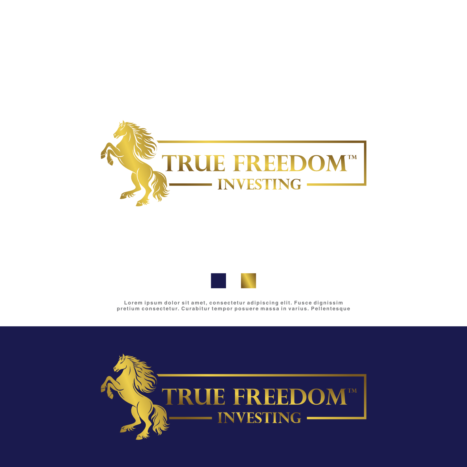 Diseño de Logo por Kenshin777 para este proyecto | Diseño #36802208