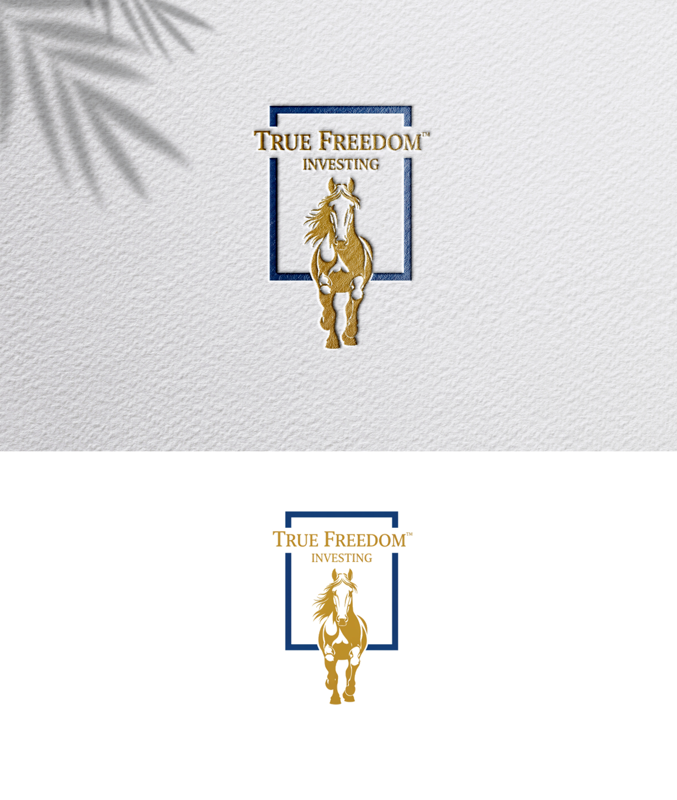 Logo Design by zoyario for this project | Design #36801643