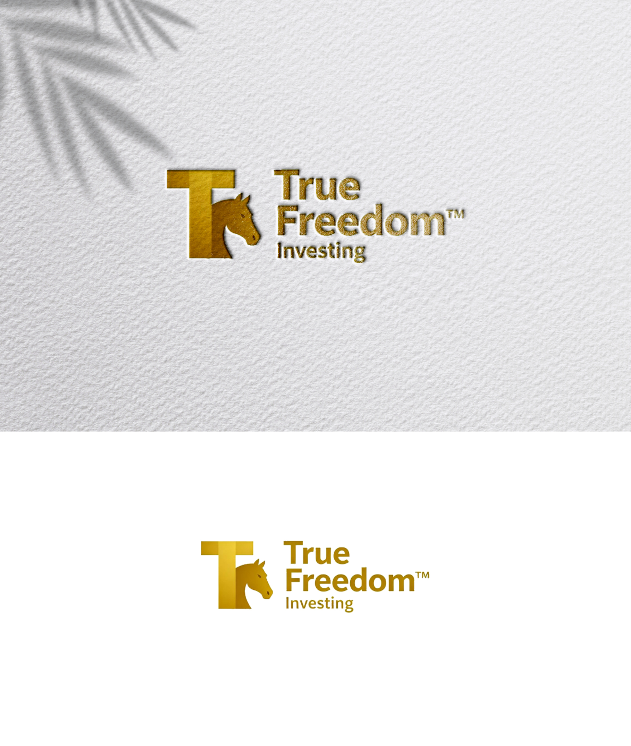 Logo Design by zoyario for this project | Design #36801644