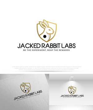 Logo Design by Pilot_DesignR™ for this project | Design: #36814889