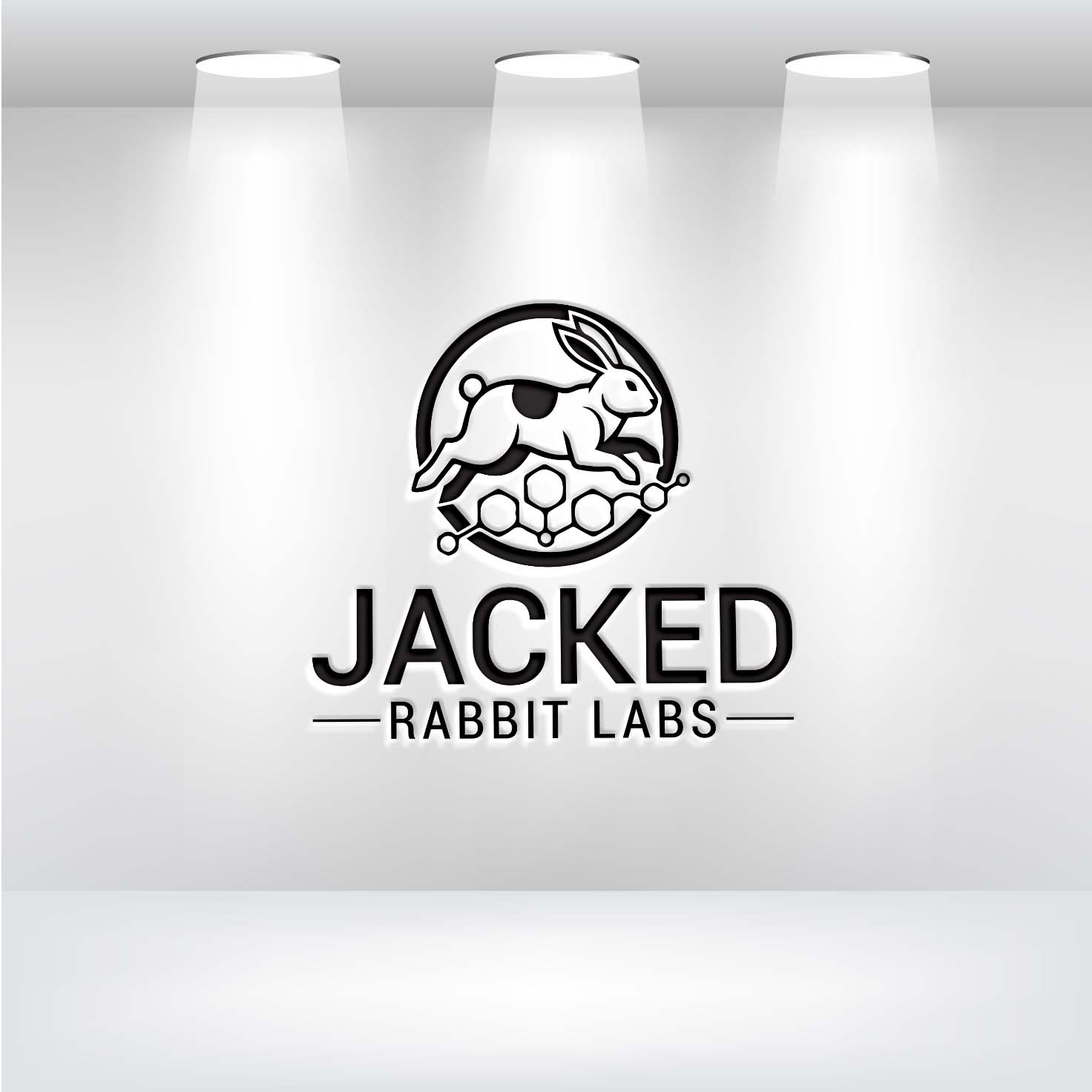 Diseño de Logo por HaveTake para este proyecto | Diseño #36818156