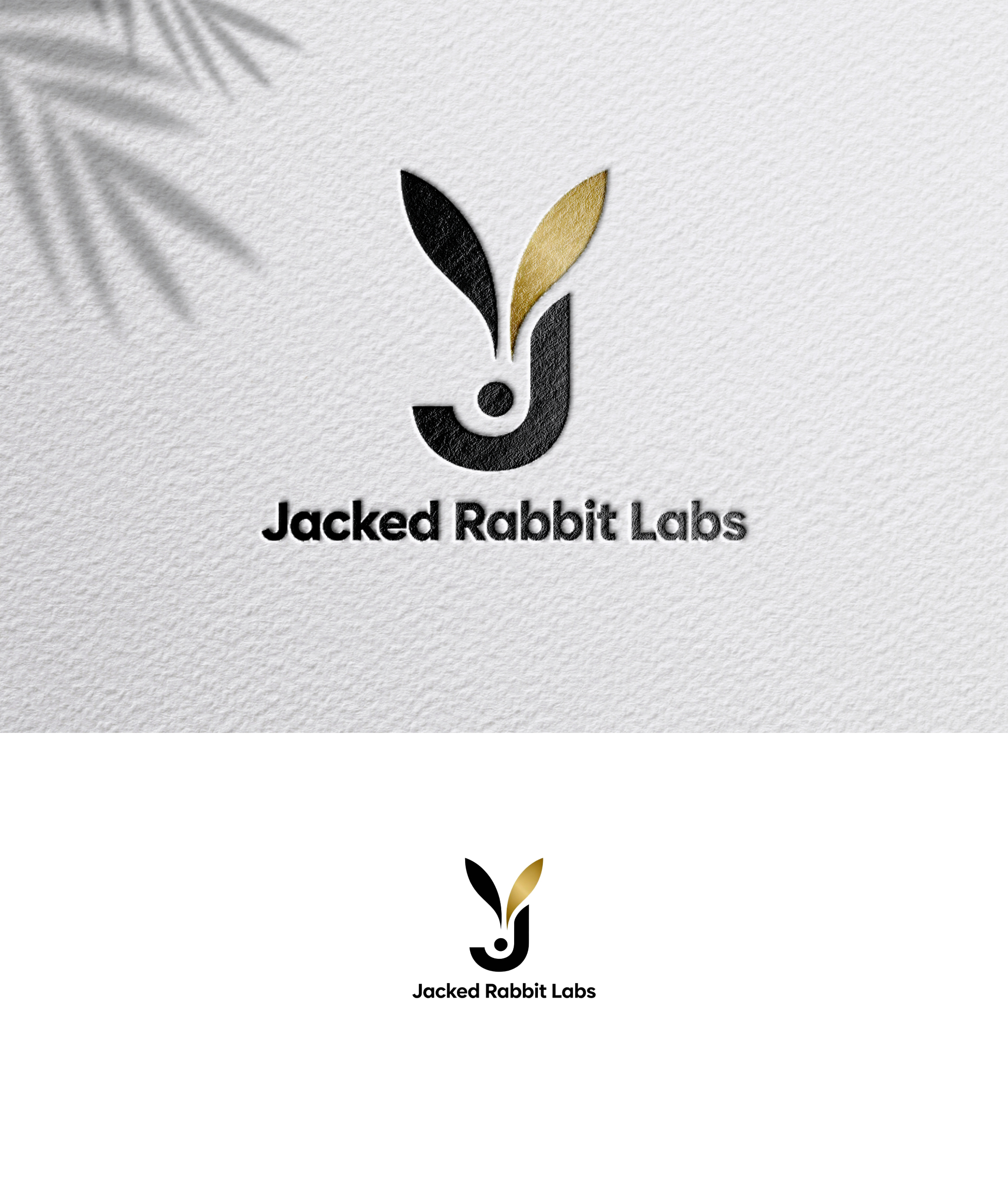 Logo Design by zoyario for this project | Design #36815399
