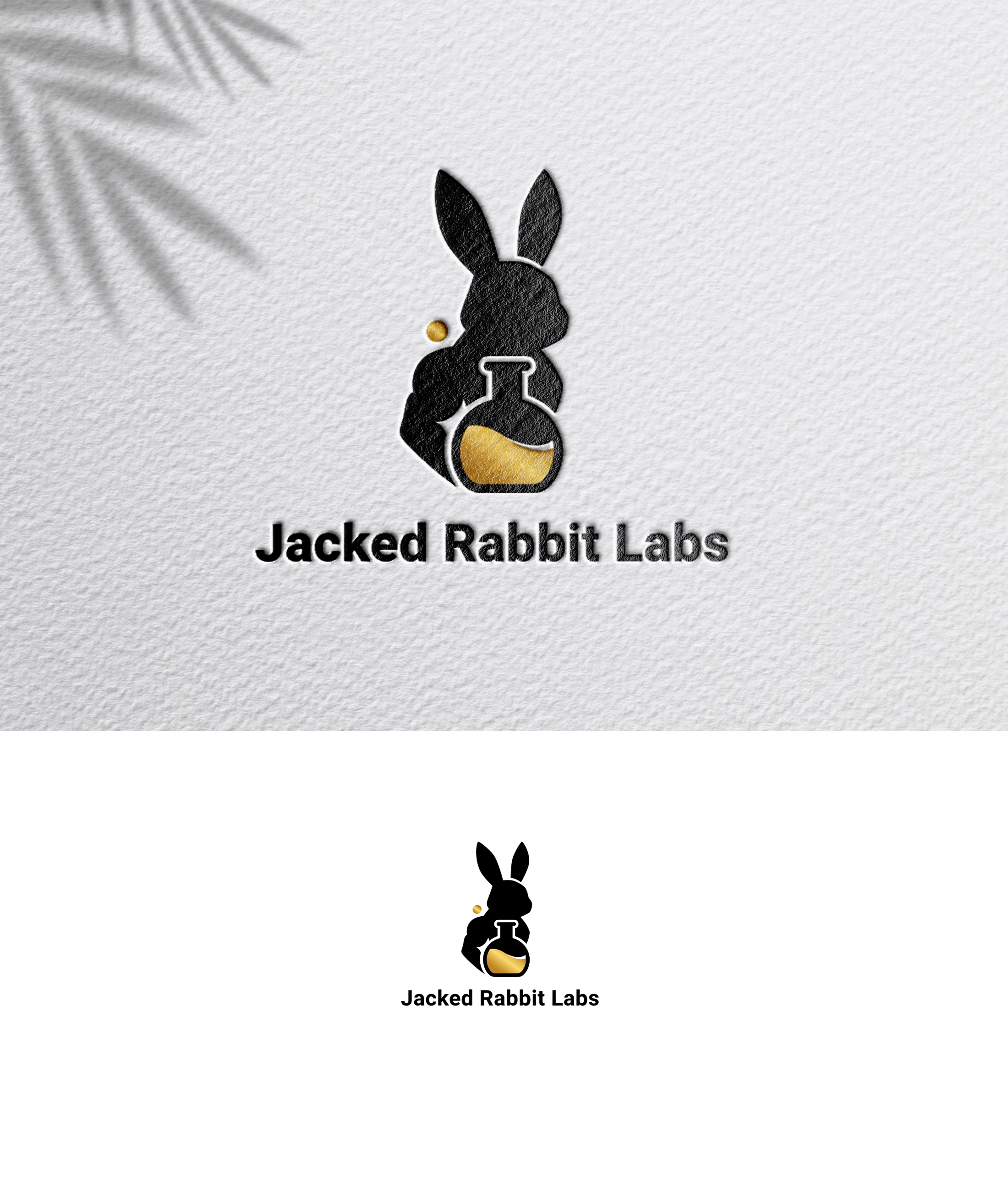 Logo Design by zoyario for this project | Design #36815401