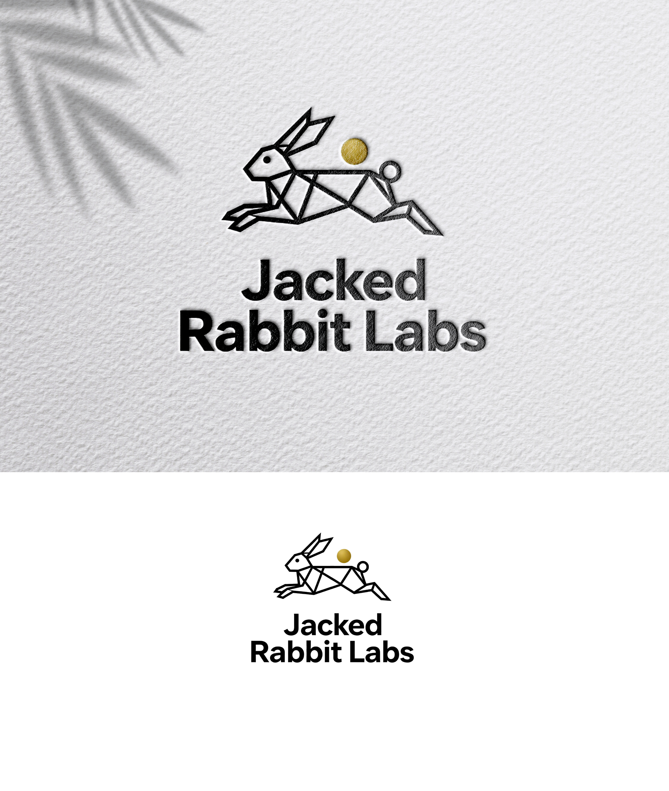 Diseño de Logo por zoyario para este proyecto | Diseño #36815402