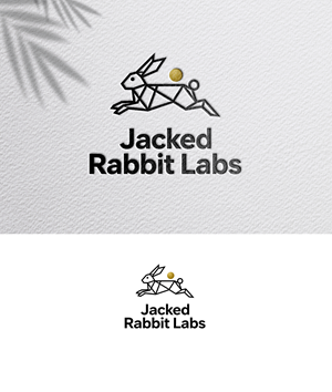 Diseño de Logo por zoyario para este proyecto | Diseño: #36815402