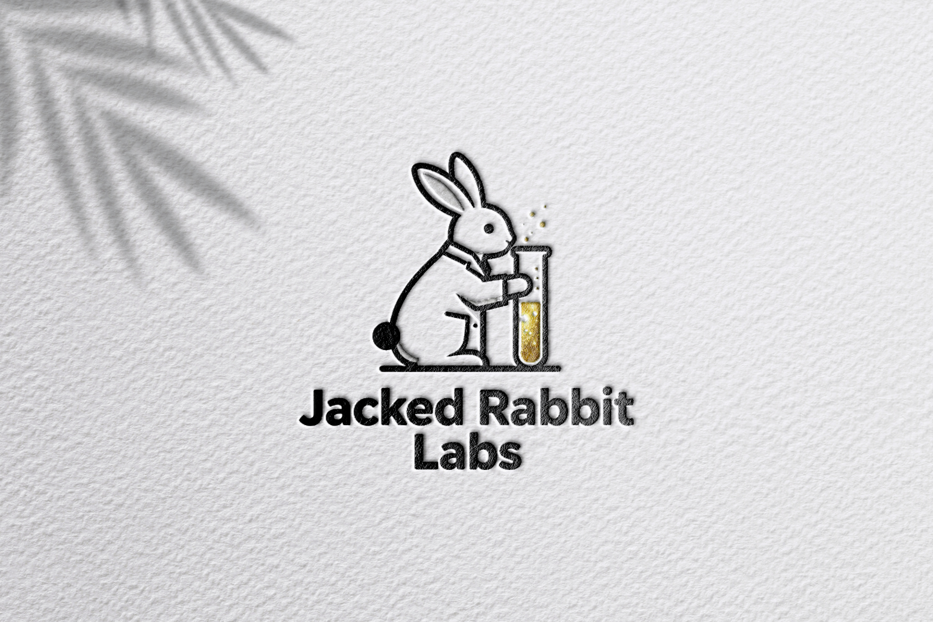 Logo Design by zoyario for this project | Design #36815404