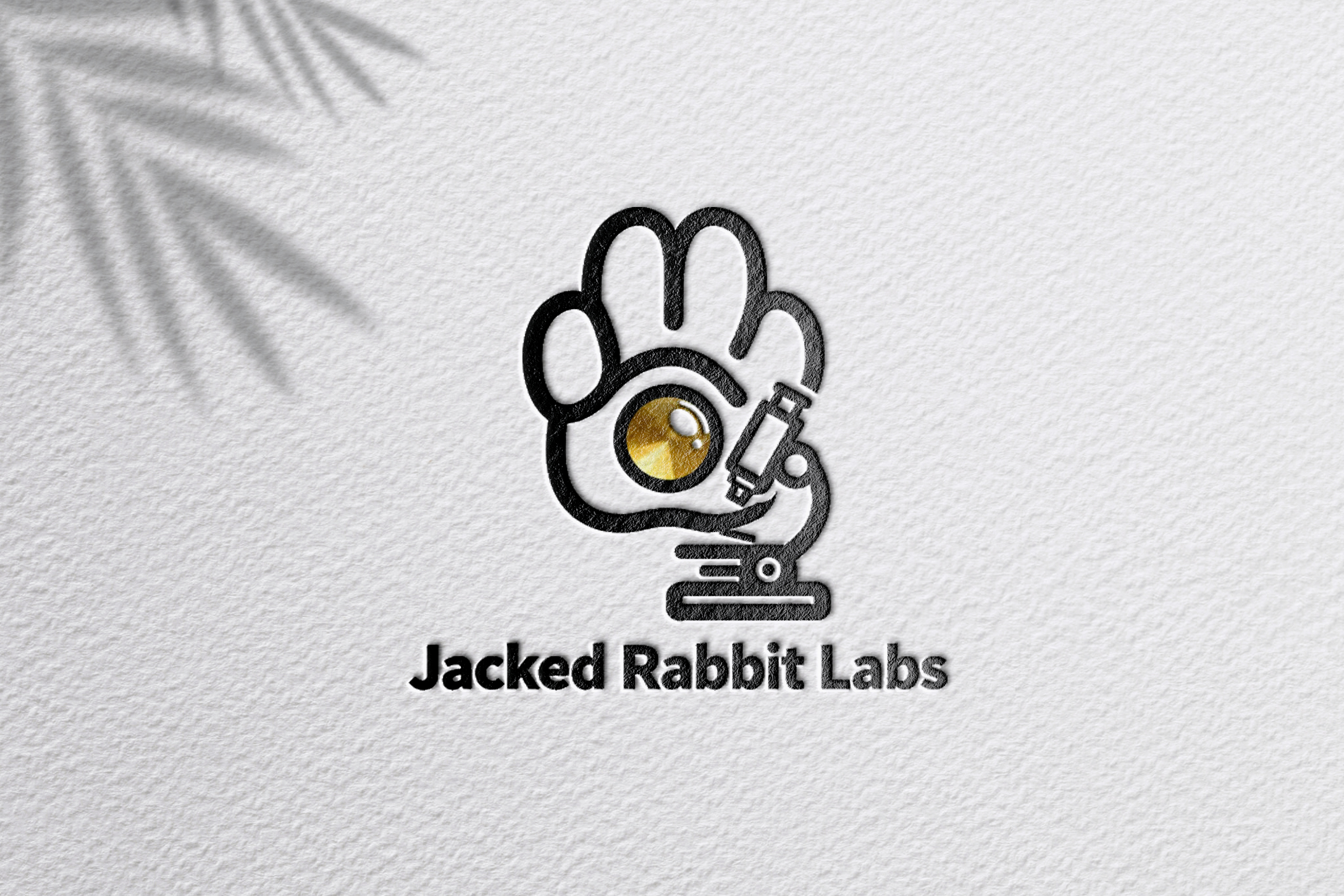 Logo Design by zoyario for this project | Design #36815405