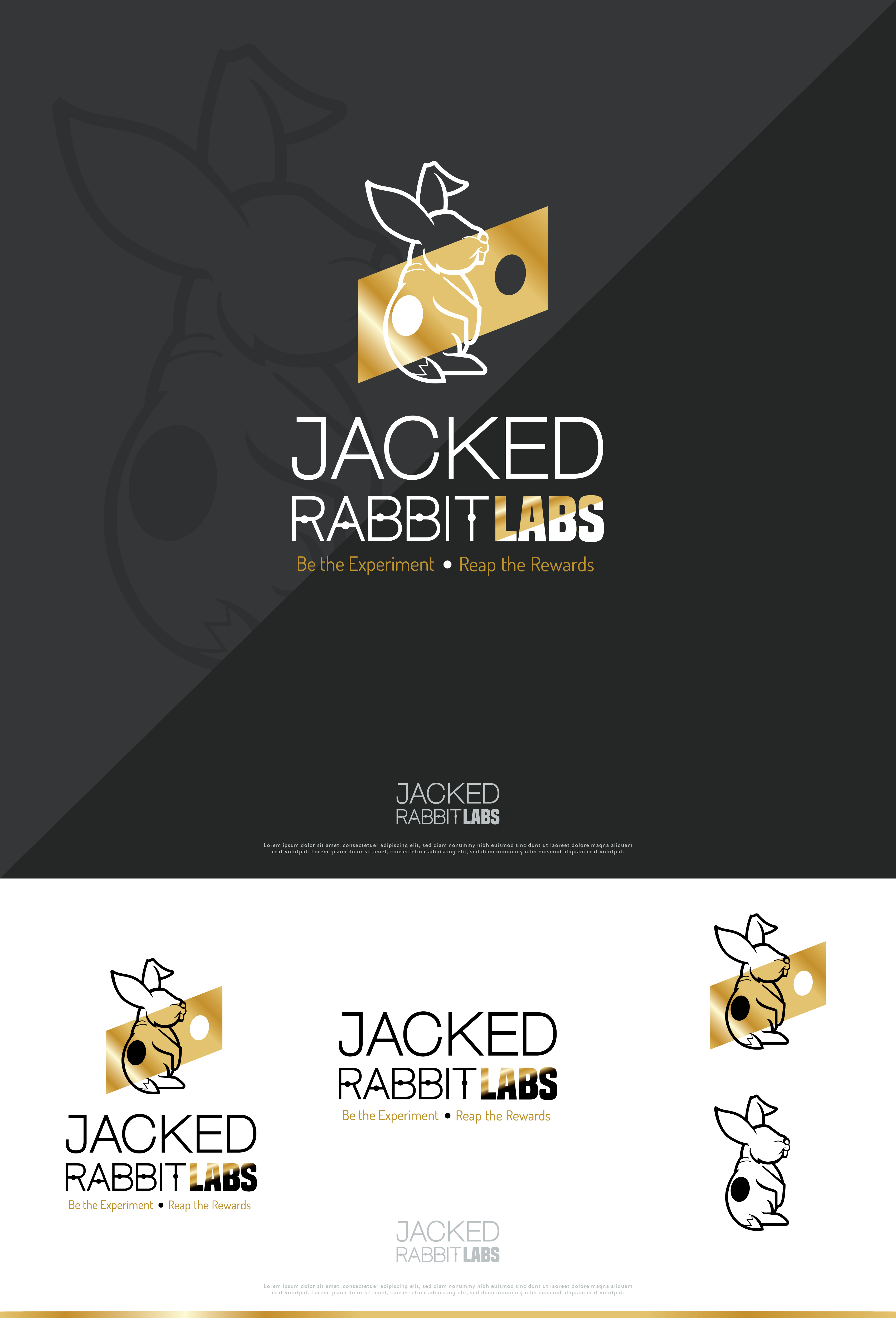 Diseño de Logo por Gabriel T. Marques para este proyecto | Diseño #36821498