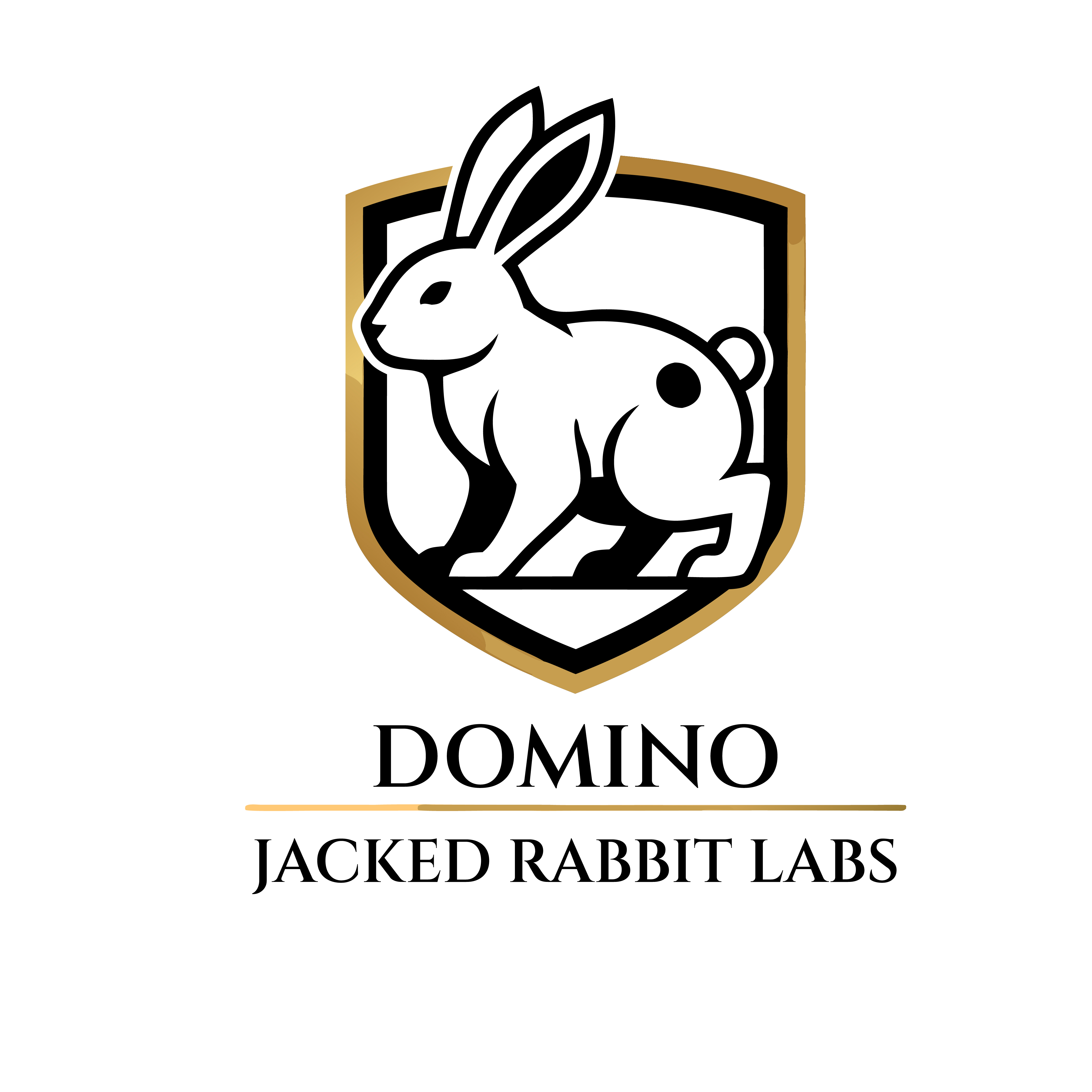 Diseño de Logo por Silicon 5 para este proyecto | Diseño #36815579