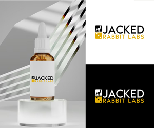 Logo Design by Ansh Design for this project | Design: #36828876