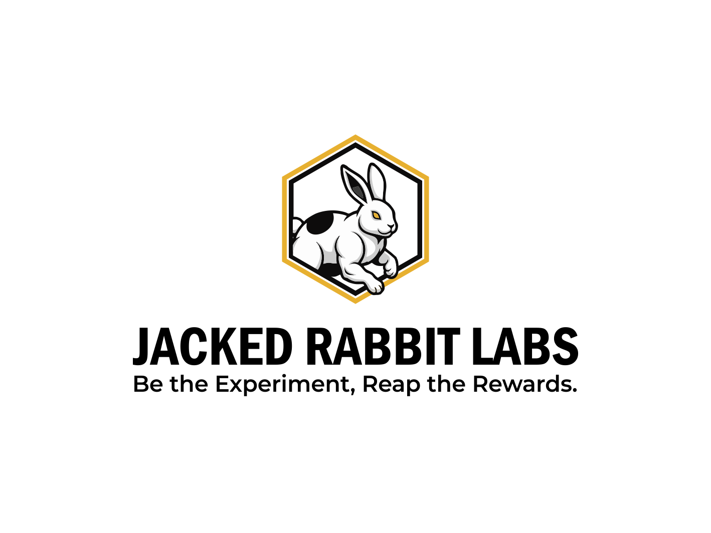 Logo Design by BNdesigner for this project | Design #36822411